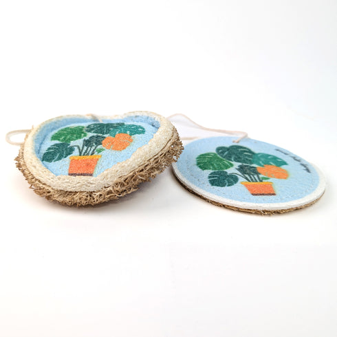 All-Natural Double-Sided Pop-Up Sponge – Eco-Friendly Cleaning Made Easy