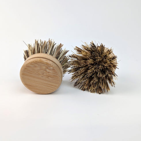 coconut fibre replaceable brush head