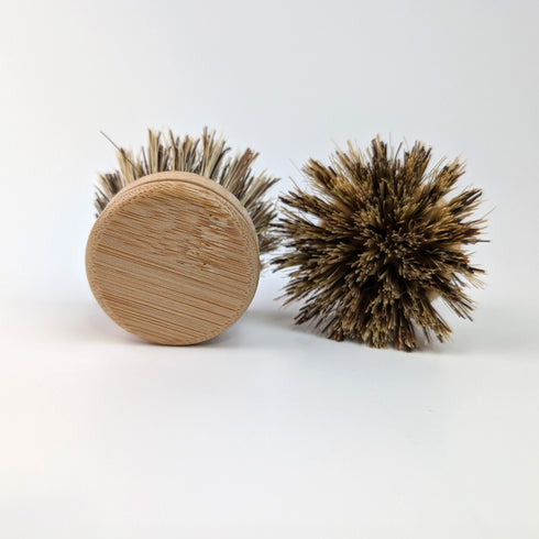 coconut fibre replaceable brush head