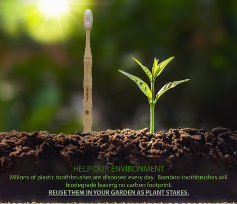 Bamboo Toothbrush Set - Medium Hardness (Set of 4) wholesale