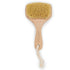 sisal bristles dry body brush with handle - dry brushing skin