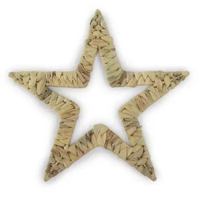 water hyacinth wall art - star